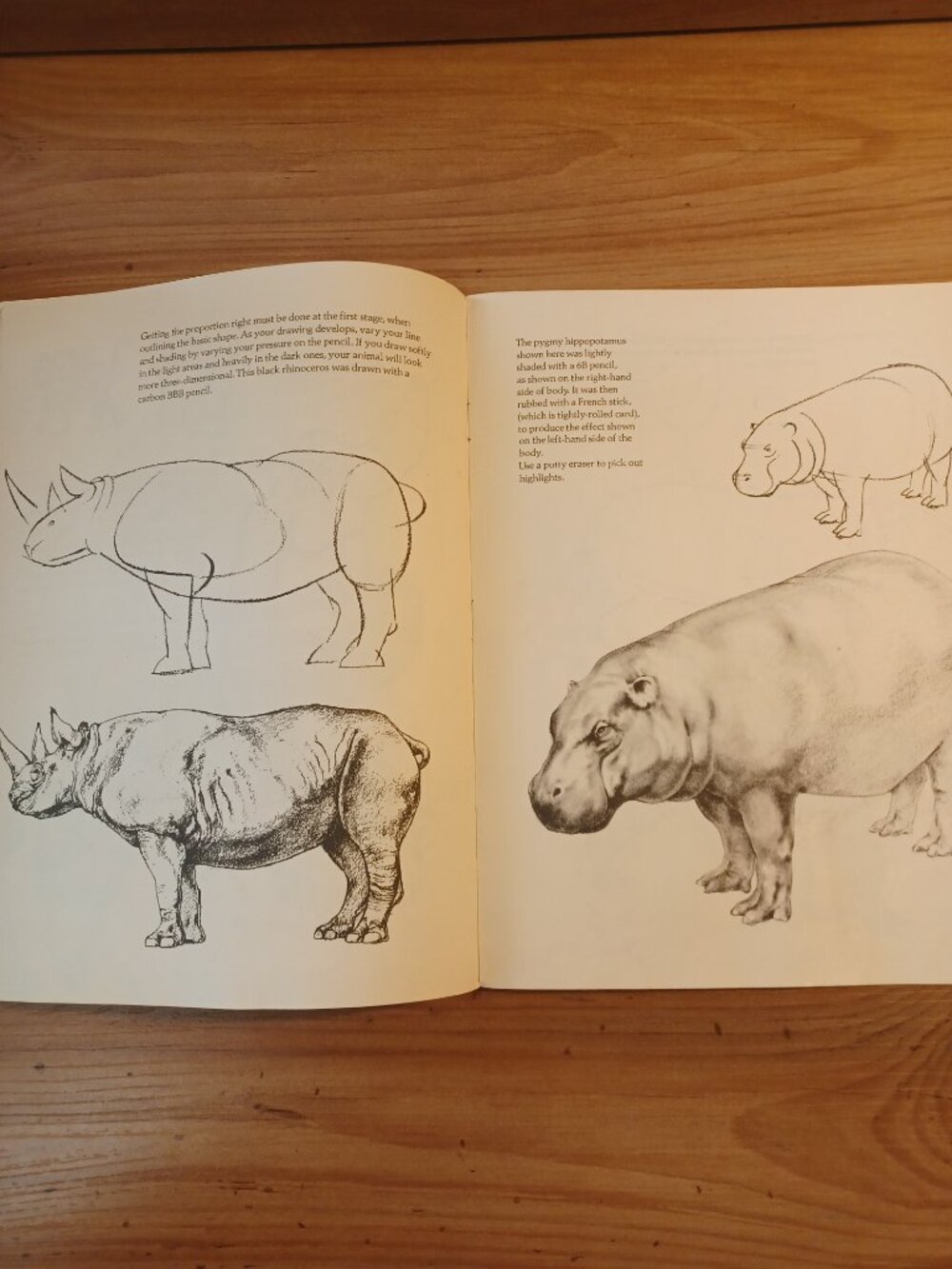 Draw Wild Animals Book - Picture 9 of 11
